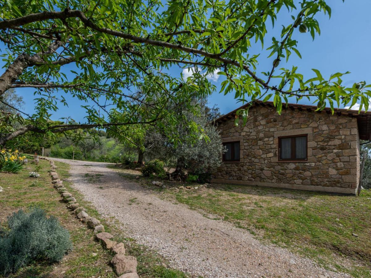 Holiday Home Fonte Al Tesoro By Interhome Roccatederighi Dış mekan fotoğraf